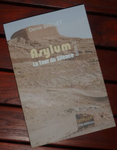 Asylum - La Tour du Silence - Tome 2 - Denis Brillet