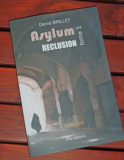 Asylum - Reclusion - Tome 1 - Denis Brillet