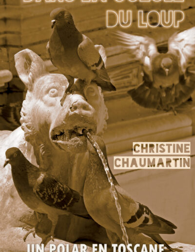 Dans la gueule du loup - Christine Chaumartin