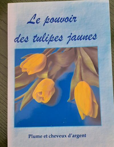 Le pouvoir des tulipes - Evelyne Granger