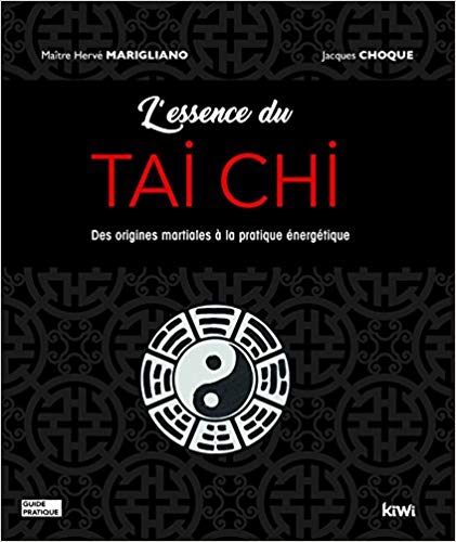 L'essence du TAI CHI des origines martiales à la pratique énergétique- Jacques Choque