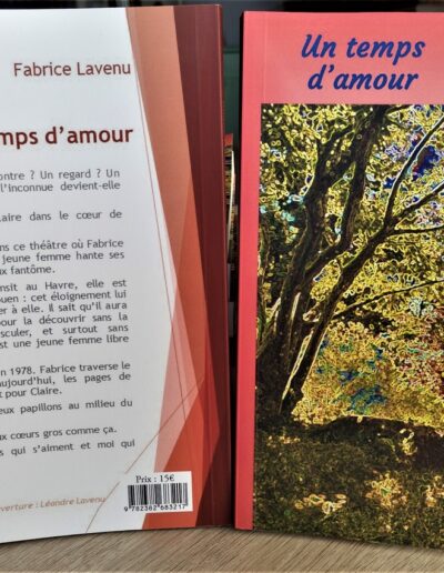 Un temps d'amour - Fabrice Lavenu