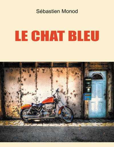 Le Chat bleu